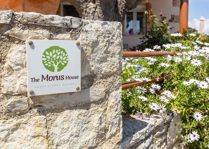 The Morus House With Private Pool