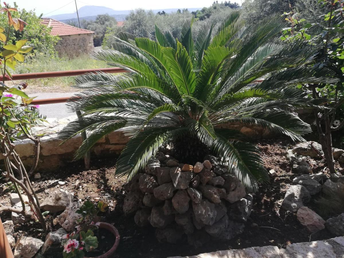 The Morus House With Private Pool Holiday home Melidhonion (Kalyves)